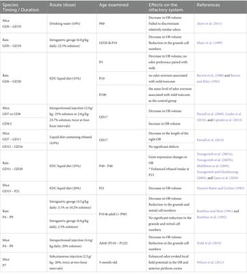 Effects of prenatal alcohol exposure on the olfactory system development